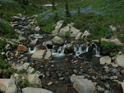 Mount Rainier National Park