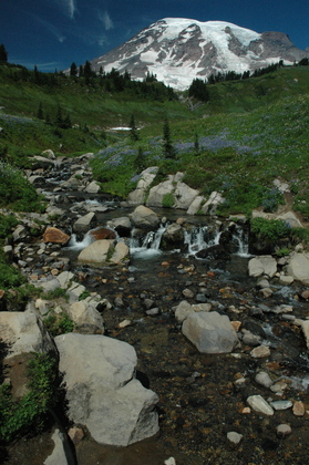 Mount Rainier National Park