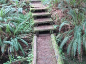 Olympic National Park