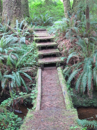 Olympic National Park