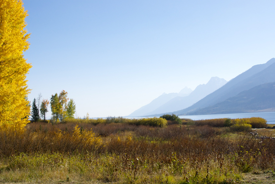 Grand Teton National Park