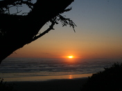 Olympic National Park