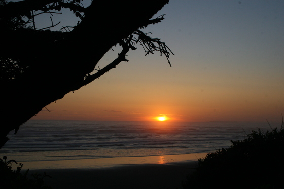 Olympic National Park