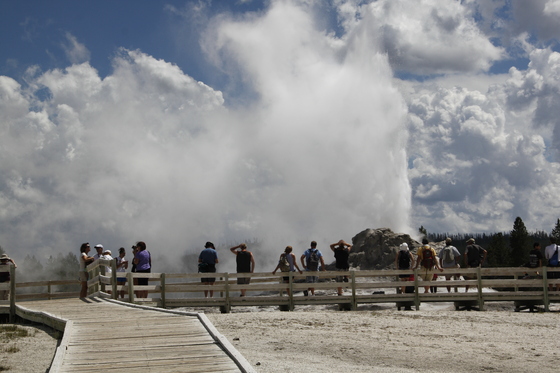 Yellowstone National Park