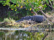 Merritt Island National Wildlife Refuge