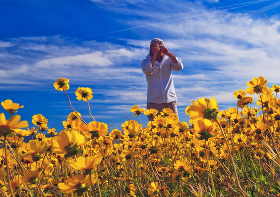Carrizo Plain National Monument 