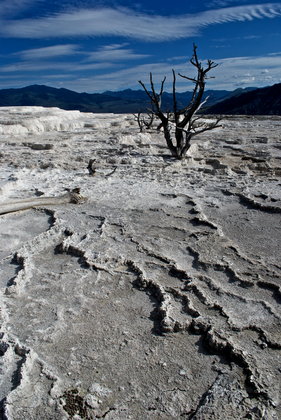 Yellowstone National Park