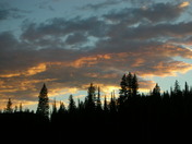 Shoshone National Forest