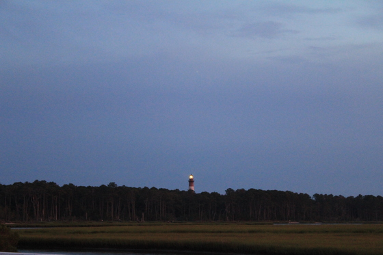 Assateague Island National Seashore