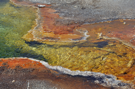 Yellowstone Nat Park