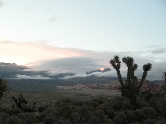 Red Rock Canyon National Conservation Area