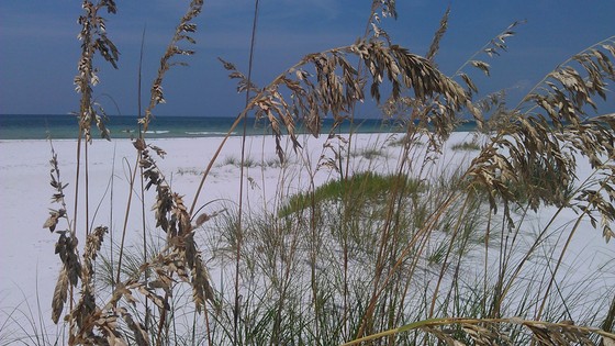 Gulf Island National Seashore