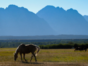 Grand Teton National Park