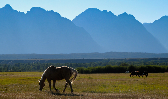 Grand Teton National Park