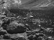 Grand Teton National Park