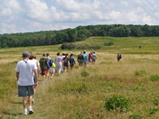 Shenandoah National Park 
