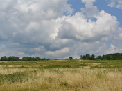 Shenandoah National Park