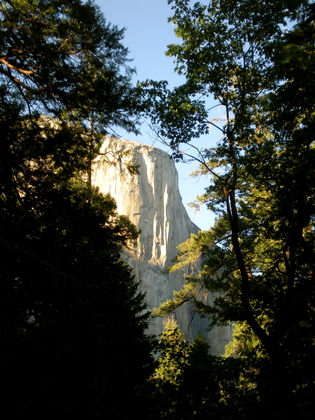 Yosemite National Park