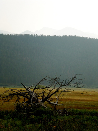 Rocky Mountain National Park