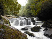 Chattahoochee National Forest