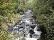 Chattahoochee National Forest