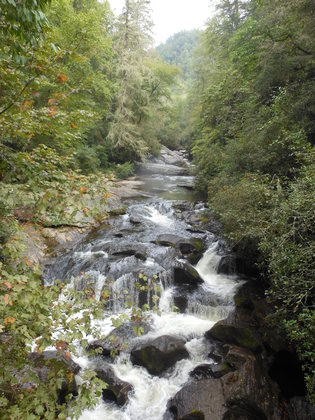 Chattahoochee National Forest