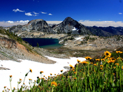 Wenatchee National Forest