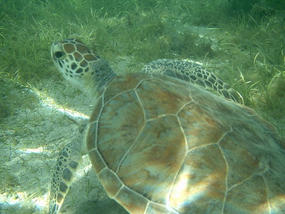 Virgin Islands NationalPark