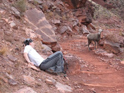 Grand Canyon National Park