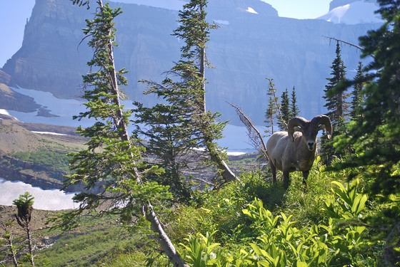 Glacier National Park