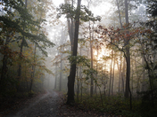 Valley Forge Historical Park Horseshoe Trail