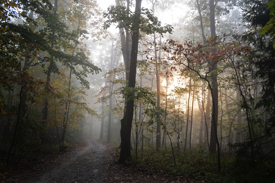 Valley Forge Historical Park Horseshoe Trail