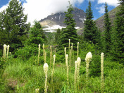 Glacier National Park