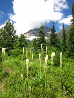 Glacier National Park