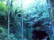 Sauta Cave National Wildlife Refuge