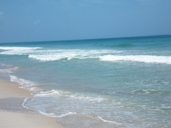 Canaveral National Seashore
