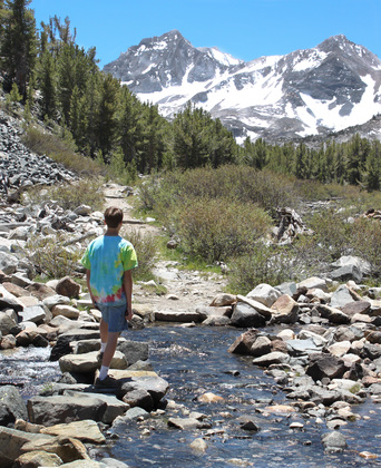 Inyo National Forest
