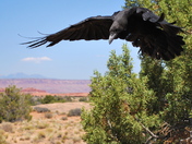 Canyonlands National Park