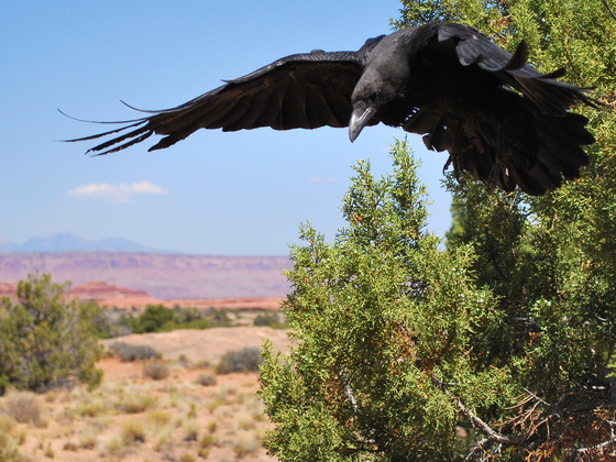 Canyonlands National Park