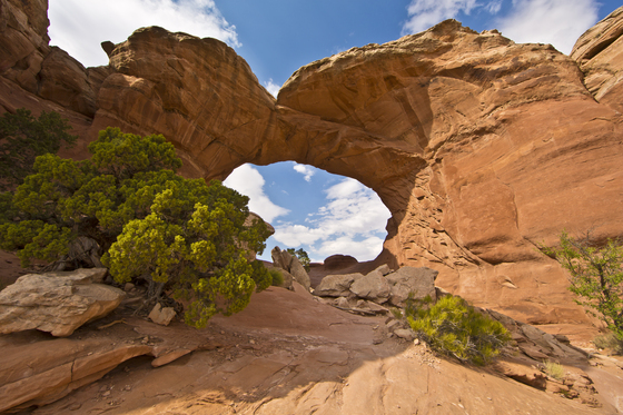 Arches National Park