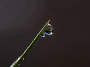 White River National Forest