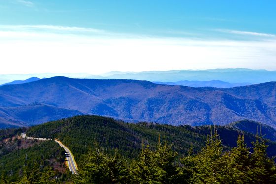Pisgah National Forest 