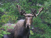 Glacier National Park