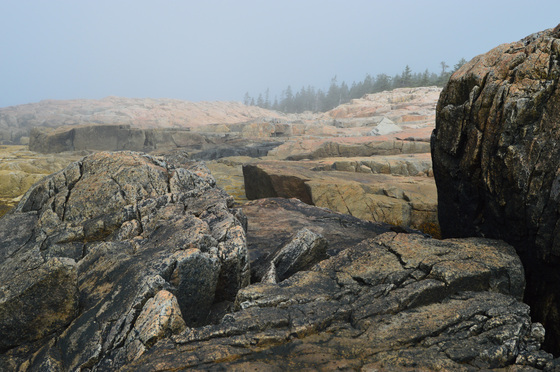 Acadia National Park