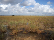 Everglades National Park