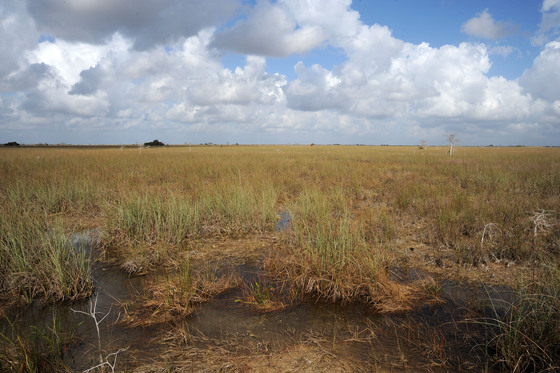 Everglades National Park