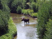 Grand Teton National Park