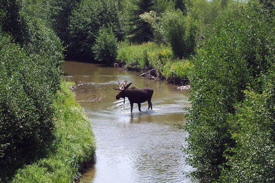 Grand Teton National Park