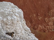 Cedar Breaks National Monument