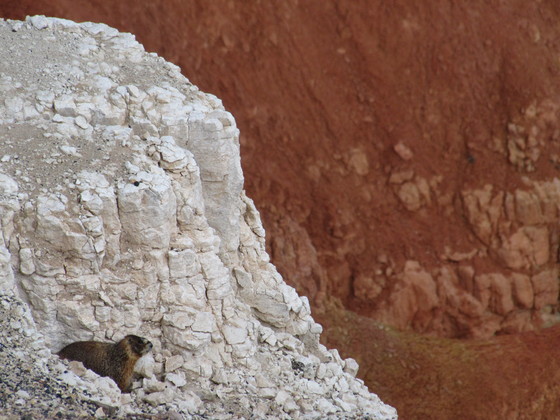 Cedar Breaks National Monument